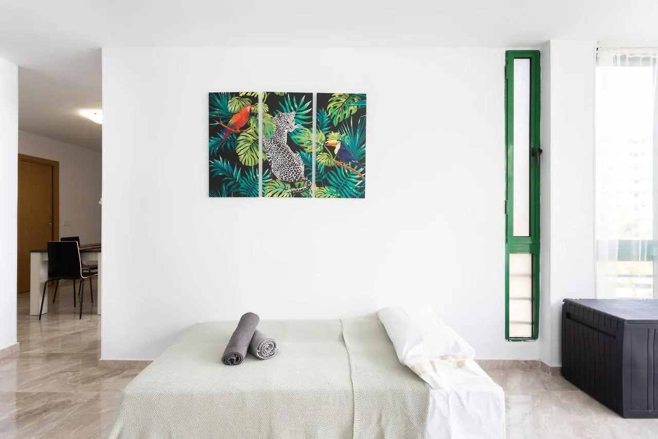 Hotel Black Cat Surf House 1 C Arona  Arona (Tenerife)