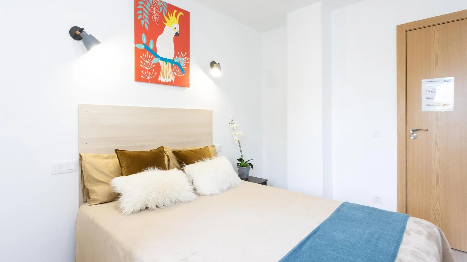 بيت ضيافة فندق أرونافي  Black Cat Surf House 1 C