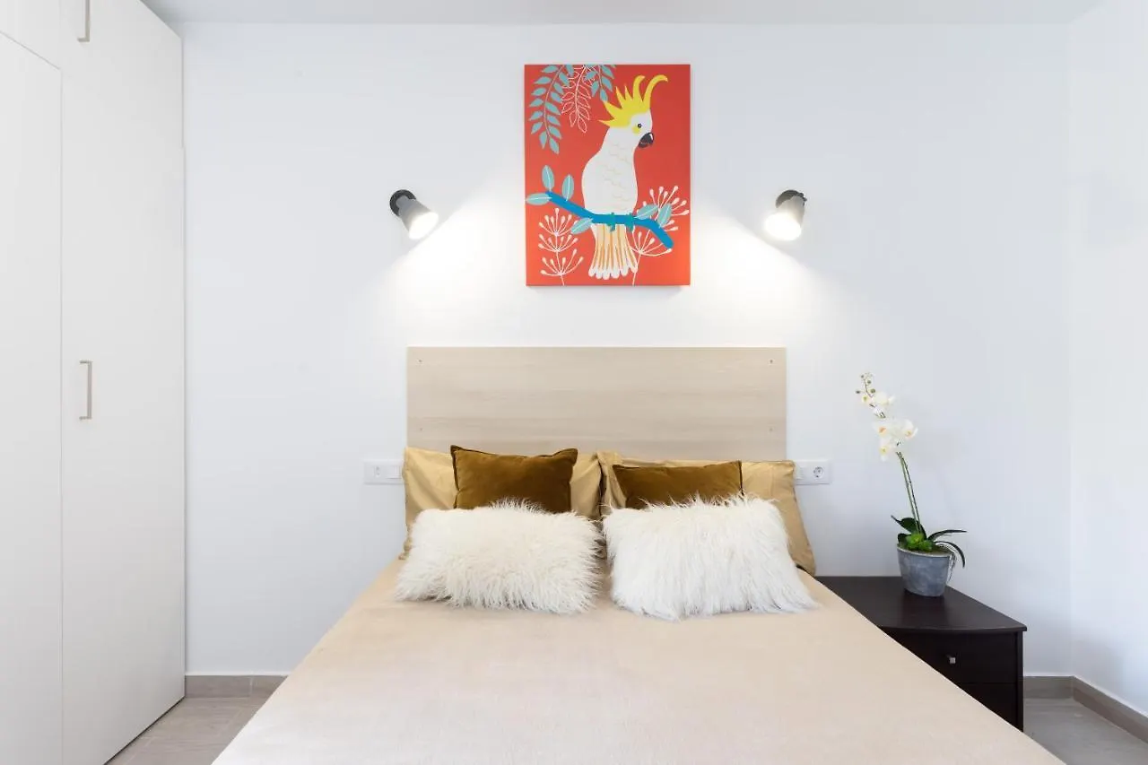 Black Cat Surf House 1 C Hotel Arona  0*, Arona (Tenerife) Spagna
